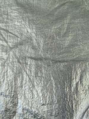 20D*20D 100%N 40GSM 나일론 직물
