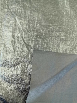 20D*20D 100%N 40GSM 나일론 직물